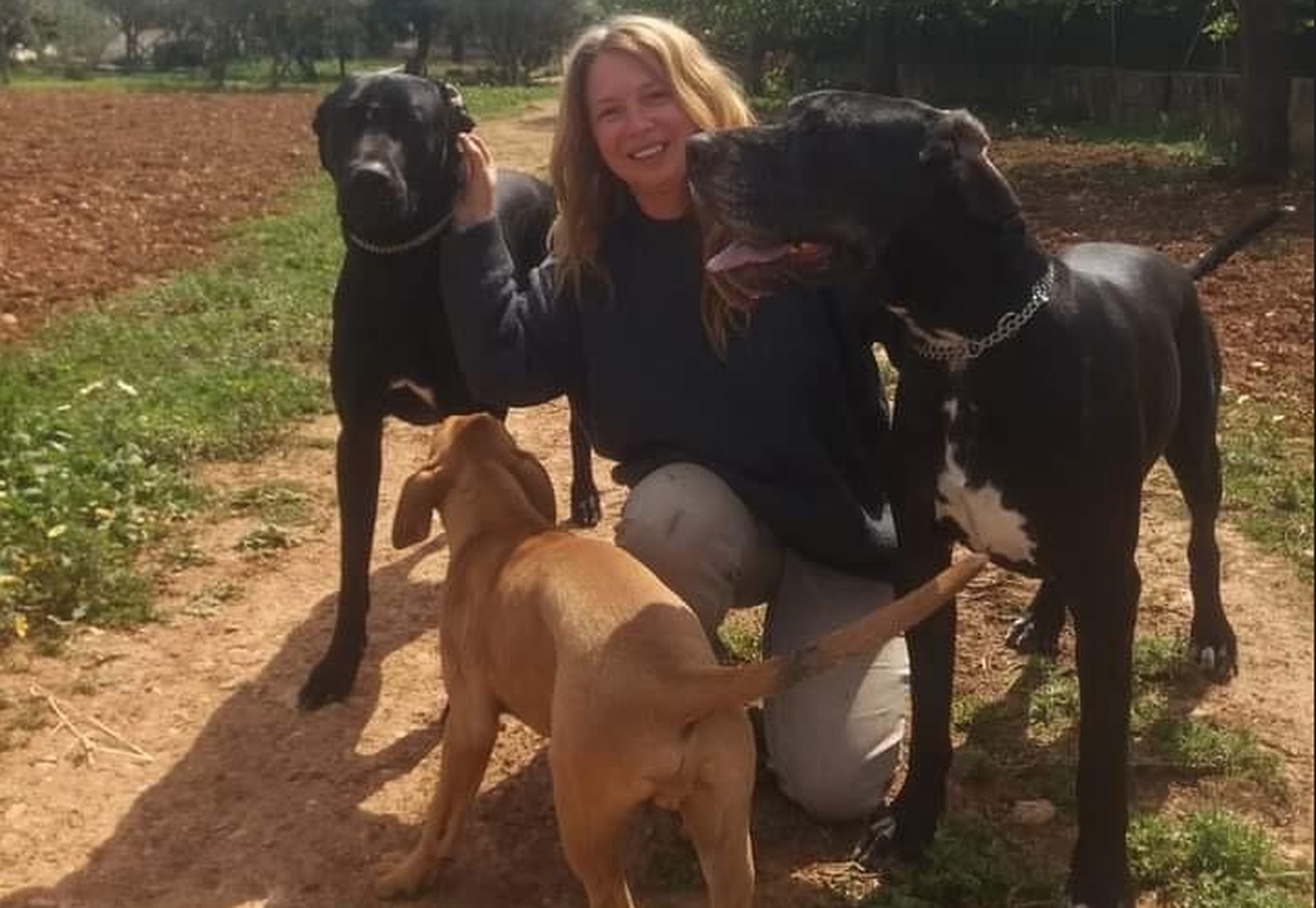 Perro y gato rescatados descansando en un patio de una finca mallorquina